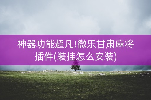 神器功能超凡!微乐甘肃麻将插件(装挂怎么安装)