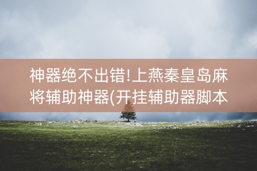 神器绝不出错!上燕秦皇岛麻将辅助神器(开挂辅助器脚本)