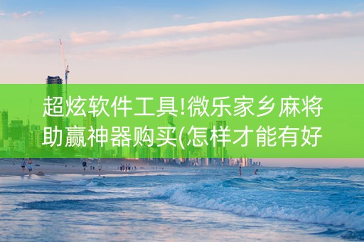 超炫软件工具!微乐家乡麻将助赢神器购买(怎样才能有好牌)