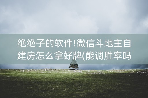 绝绝子的软件!微信斗地主自建房怎么拿好牌(能调胜率吗)