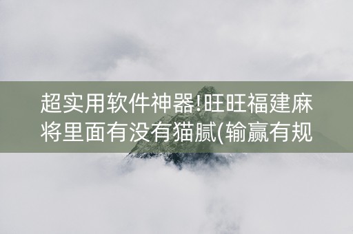 超实用软件神器!旺旺福建麻将里面有没有猫腻(输赢有规律)