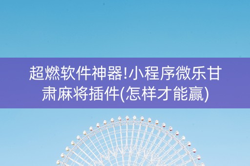 超燃软件神器!小程序微乐甘肃麻将插件(怎样才能赢)