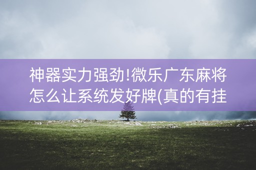 神器实力强劲!微乐广东麻将怎么让系统发好牌(真的有挂确实有挂)