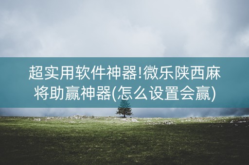 超实用软件神器!微乐陕西麻将助赢神器(怎么设置会赢)