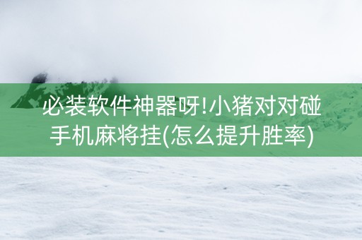 必装软件神器呀!小猪对对碰手机麻将挂(怎么提升胜率)