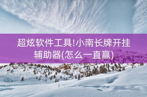 超炫软件工具!小南长牌开挂辅助器(怎么一直赢)
