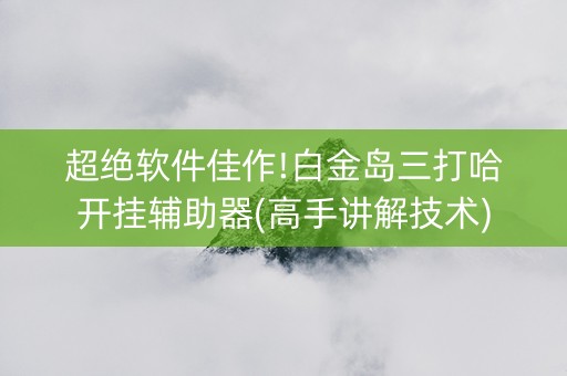 超绝软件佳作!白金岛三打哈开挂辅助器(高手讲解技术)