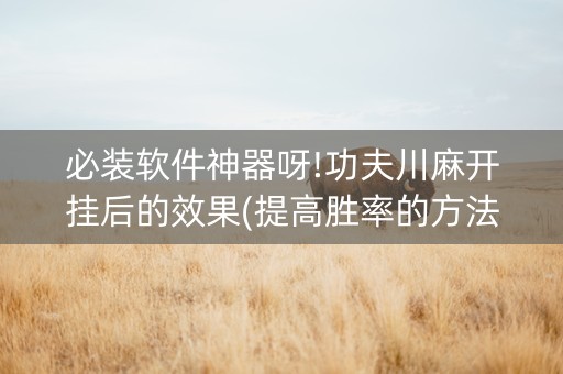 必装软件神器呀!功夫川麻开挂后的效果(提高胜率的方法)