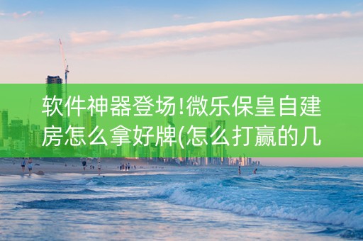 软件神器登场!微乐保皇自建房怎么拿好牌(怎么打赢的几率大)