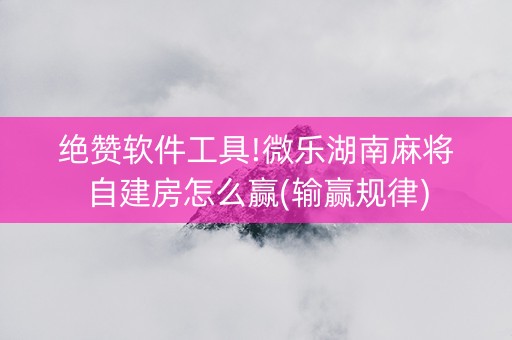 绝赞软件工具!微乐湖南麻将自建房怎么赢(输赢规律)