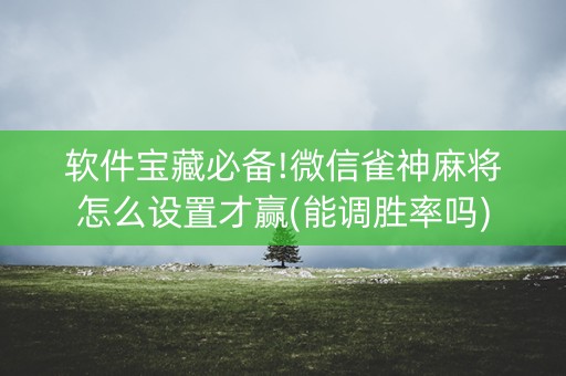 软件宝藏必备!微信雀神麻将怎么设置才赢(能调胜率吗)