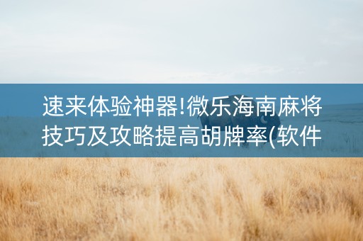 速来体验神器!微乐海南麻将技巧及攻略提高胡牌率(软件怎么打赢)