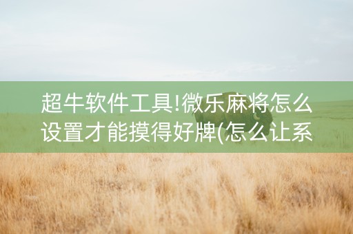 超牛软件工具!微乐麻将怎么设置才能摸得好牌(怎么让系统给好牌)