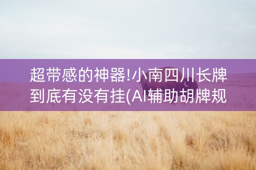 超带感的神器!小南四川长牌到底有没有挂(AI辅助胡牌规则)