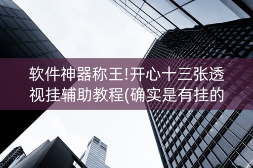 软件神器称王!开心十三张透视挂辅助教程(确实是有挂的)