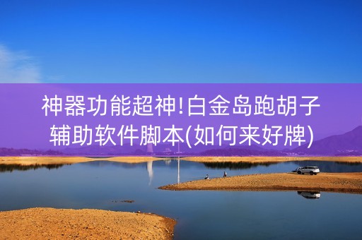 神器功能超神!白金岛跑胡子辅助软件脚本(如何来好牌)