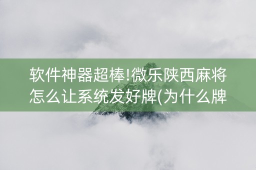 软件神器超棒!微乐陕西麻将怎么让系统发好牌(为什么牌一直很差)