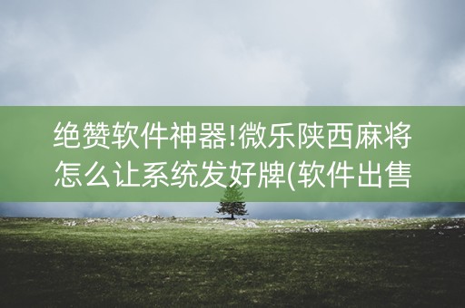 绝赞软件神器!微乐陕西麻将怎么让系统发好牌(软件出售)