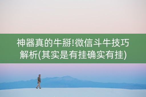 神器真的牛掰!微信斗牛技巧解析(其实是有挂确实有挂)