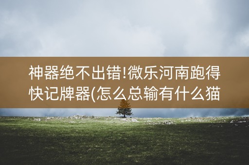 神器绝不出错!微乐河南跑得快记牌器(怎么总输有什么猫腻)