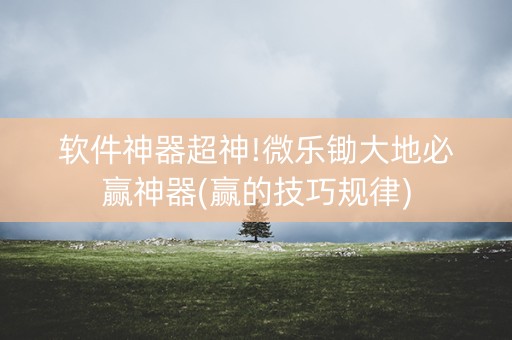 软件神器超神!微乐锄大地必赢神器(赢的技巧规律)