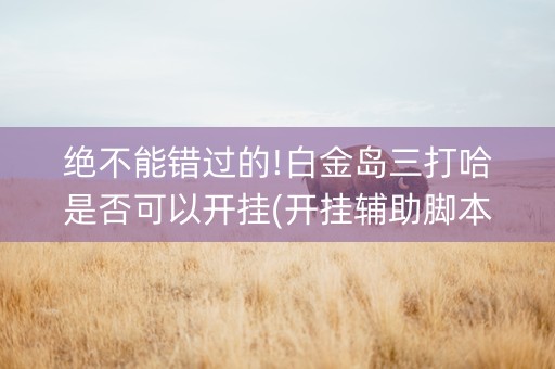 绝不能错过的!白金岛三打哈是否可以开挂(开挂辅助脚本)