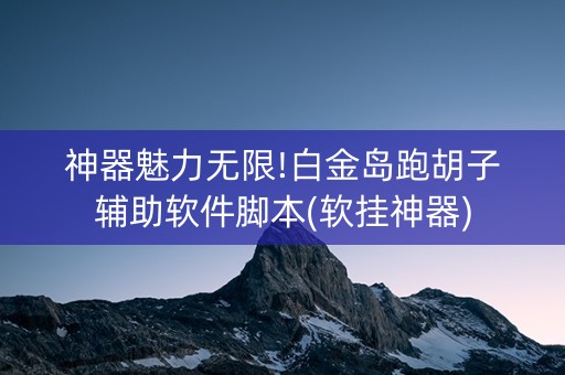 神器魅力无限!白金岛跑胡子辅助软件脚本(软挂神器)