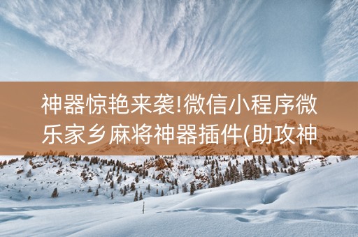 神器惊艳来袭!微信小程序微乐家乡麻将神器插件(助攻神器)
