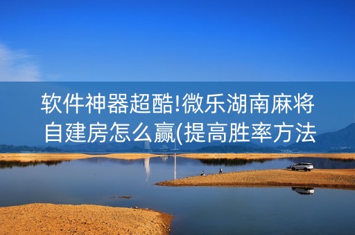 软件神器超酷!微乐湖南麻将自建房怎么赢(提高胜率方法)