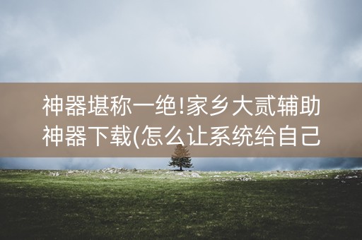 神器堪称一绝!家乡大贰辅助神器下载(怎么让系统给自己好牌)