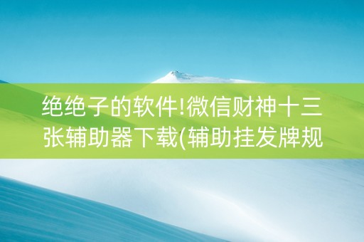 绝绝子的软件!微信财神十三张辅助器下载(辅助挂发牌规律)