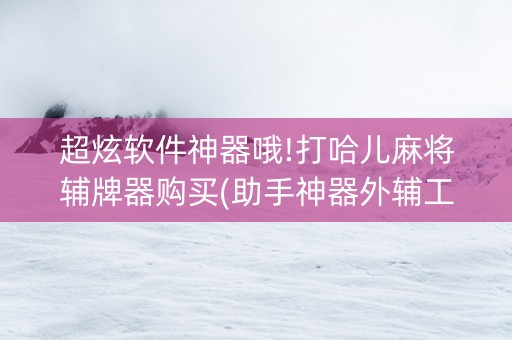 超炫软件神器哦!打哈儿麻将辅牌器购买(助手神器外辅工具)