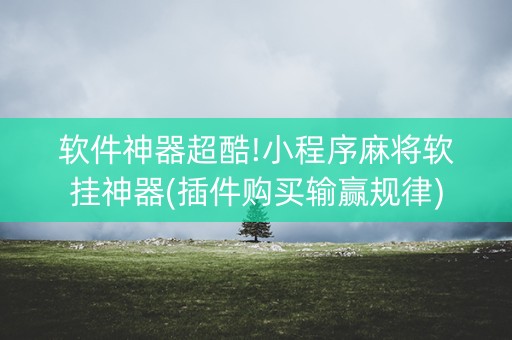 软件神器超酷!小程序麻将软挂神器(插件购买输赢规律)