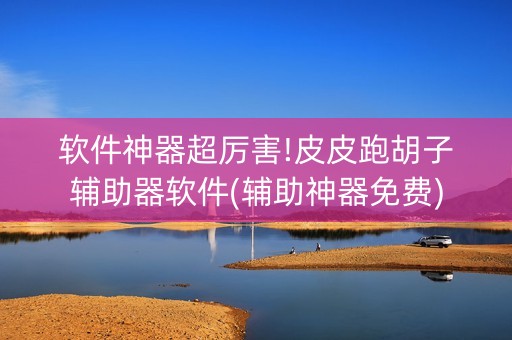 软件神器超厉害!皮皮跑胡子辅助器软件(辅助神器免费)