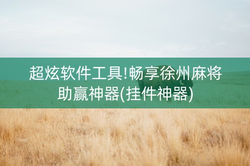 超炫软件工具!畅享徐州麻将助赢神器(挂件神器)