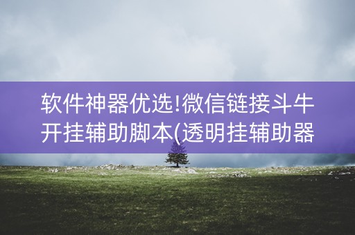 软件神器优选!微信链接斗牛开挂辅助脚本(透明挂辅助器)