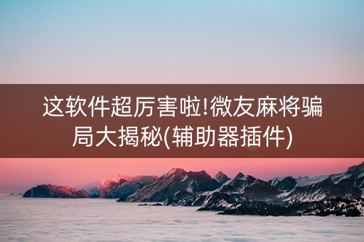 这软件超厉害啦!微友麻将骗局大揭秘(辅助器插件)
