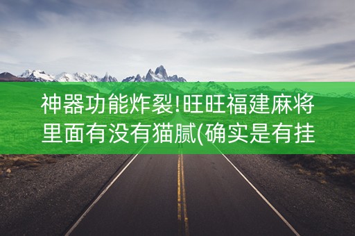 神器功能炸裂!旺旺福建麻将里面有没有猫腻(确实是有挂)