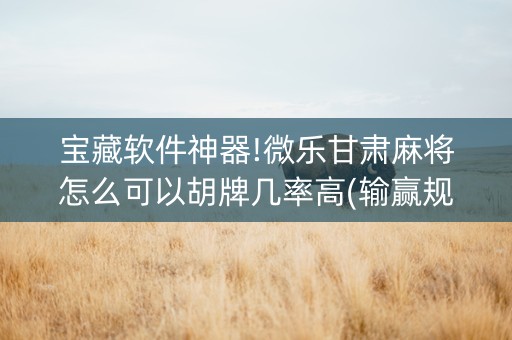 宝藏软件神器!微乐甘肃麻将怎么可以胡牌几率高(输赢规律技巧)