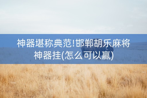 神器堪称典范!邯郸胡乐麻将神器挂(怎么可以赢)