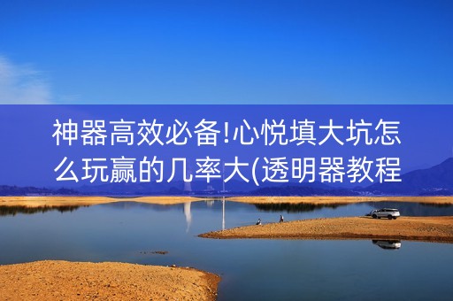 神器高效必备!心悦填大坑怎么玩赢的几率大(透明器教程)