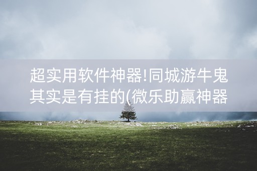 超实用软件神器!同城游牛鬼其实是有挂的(微乐助赢神器)