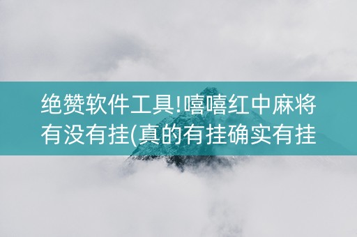 绝赞软件工具!嘻嘻红中麻将有没有挂(真的有挂确实有挂)
