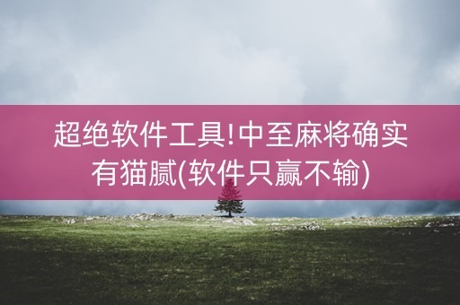 超绝软件工具!中至麻将确实有猫腻(软件只赢不输)