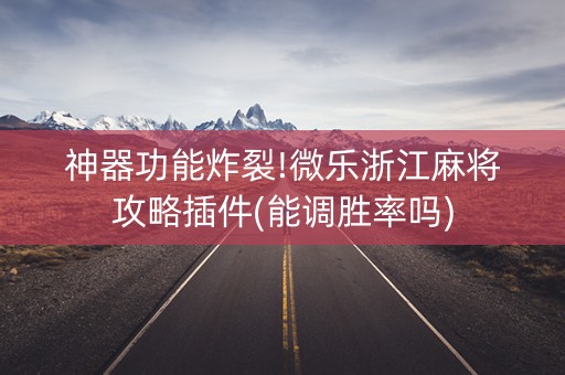 神器功能炸裂!微乐浙江麻将攻略插件(能调胜率吗)