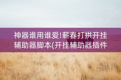 神器谁用谁爱!蕲春打拱开挂辅助器脚本(开挂辅助器插件)