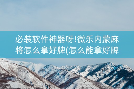 必装软件神器呀!微乐内蒙麻将怎么拿好牌(怎么能拿好牌)