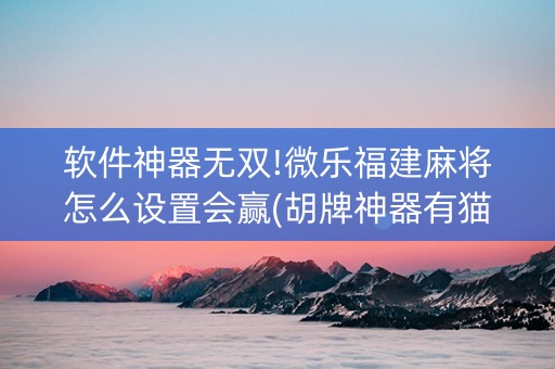 软件神器无双!微乐福建麻将怎么设置会赢(胡牌神器有猫腻吗)