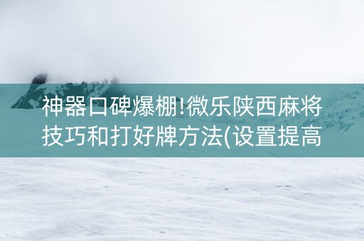 神器口碑爆棚!微乐陕西麻将技巧和打好牌方法(设置提高好牌几率)