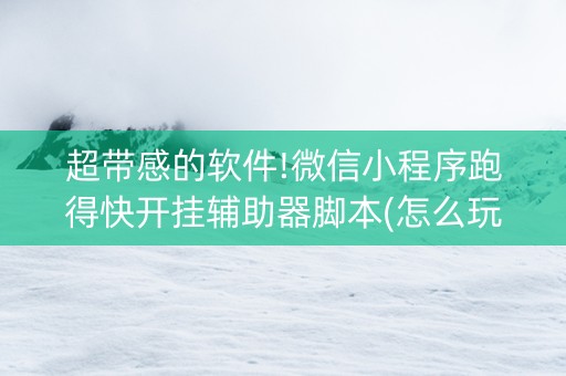 超带感的软件!微信小程序跑得快开挂辅助器脚本(怎么玩赢几率大)